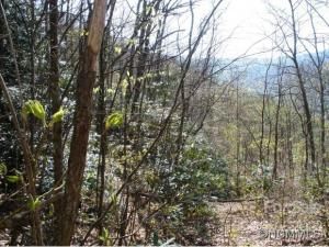 MLS #CARNCM585916 image #4