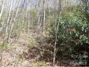 MLS #CARNCM585916 image #5