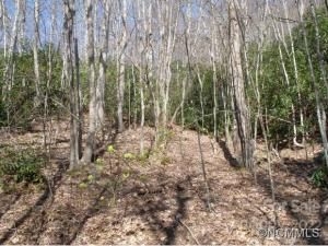 MLS #CARNCM585916 image #7