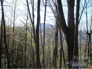 MLS #CARNCM585916 image #9