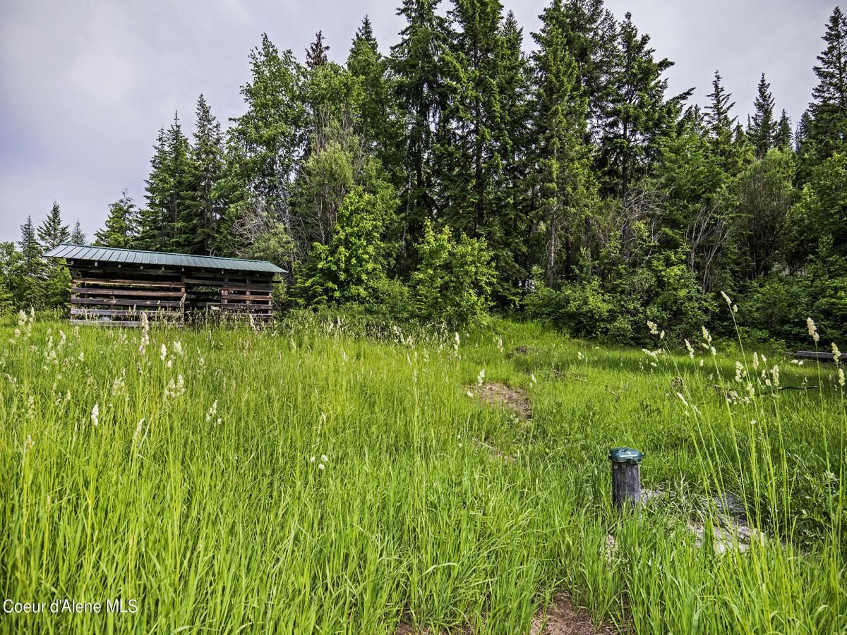 MLS #24-8016 image #0