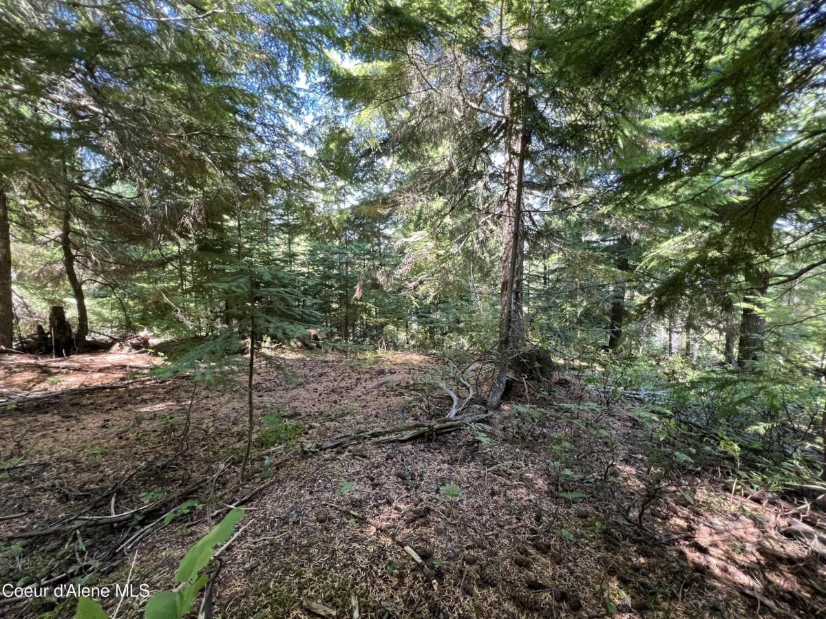 MLS #24-8716 image #0