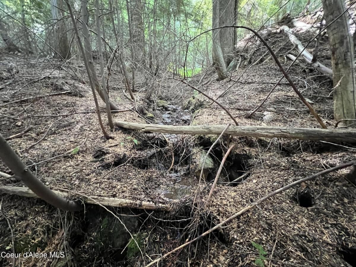 MLS #24-8745 image #0