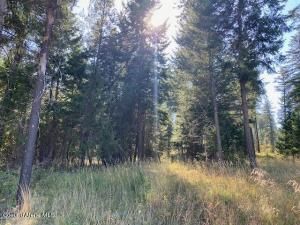 MLS #24-8782 image #0