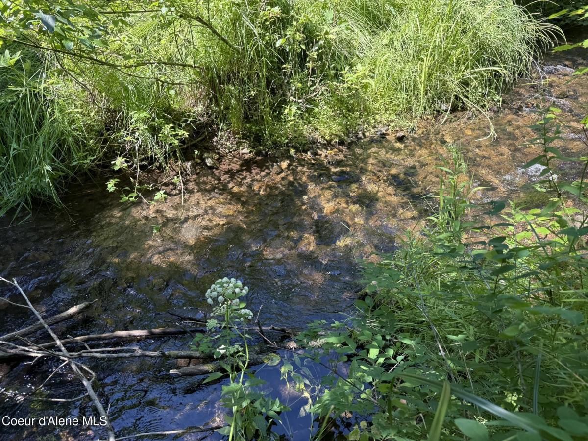 MLS #25-10470 image #0