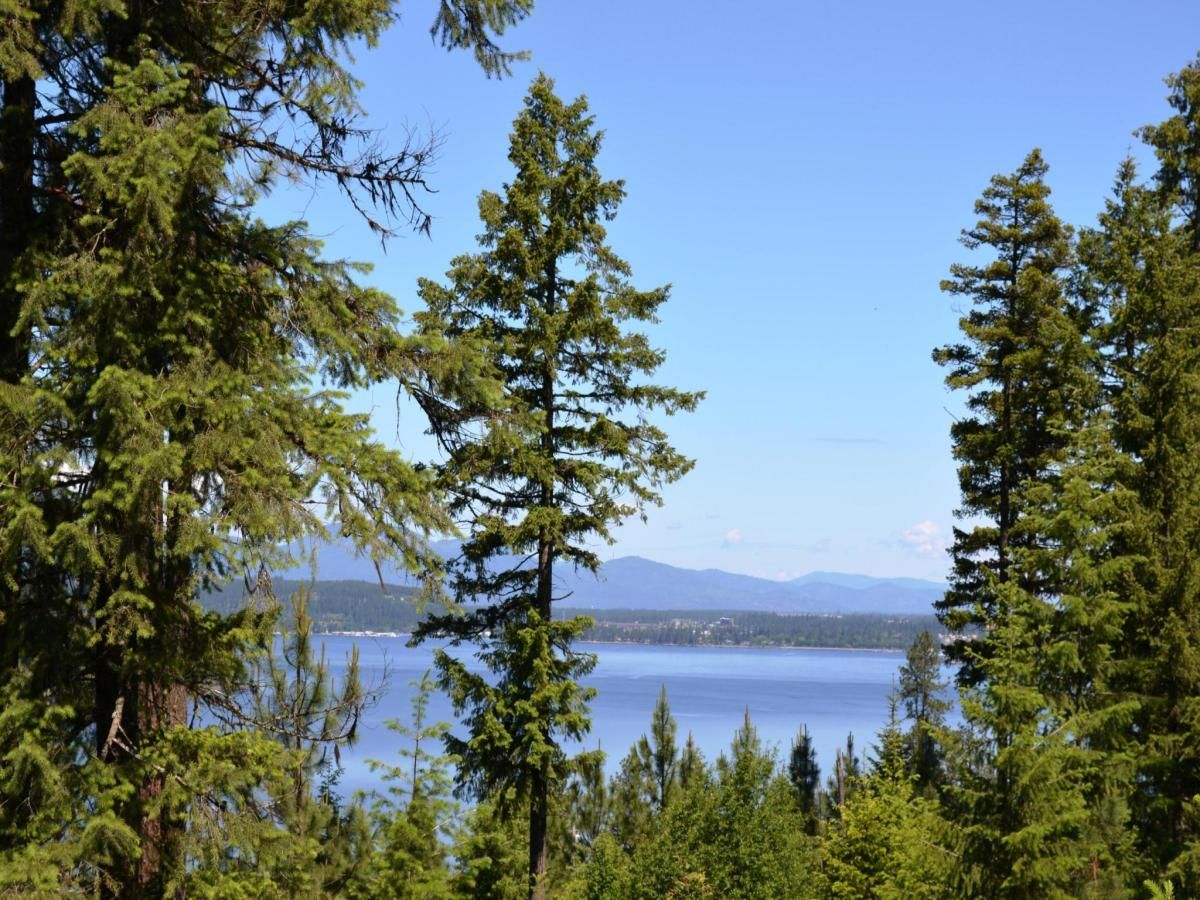 MLS #25-2059 image #0