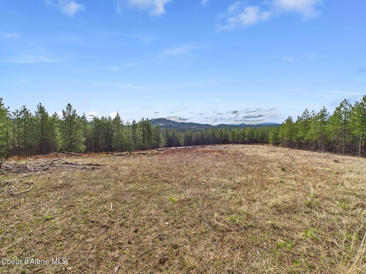 MLS #25-3070 image #0