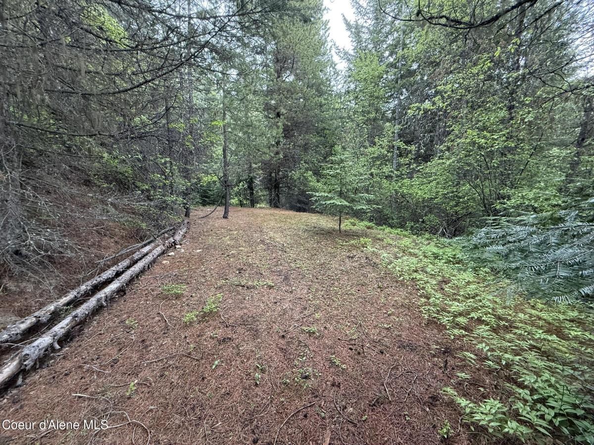 MLS #25-4800 image #0