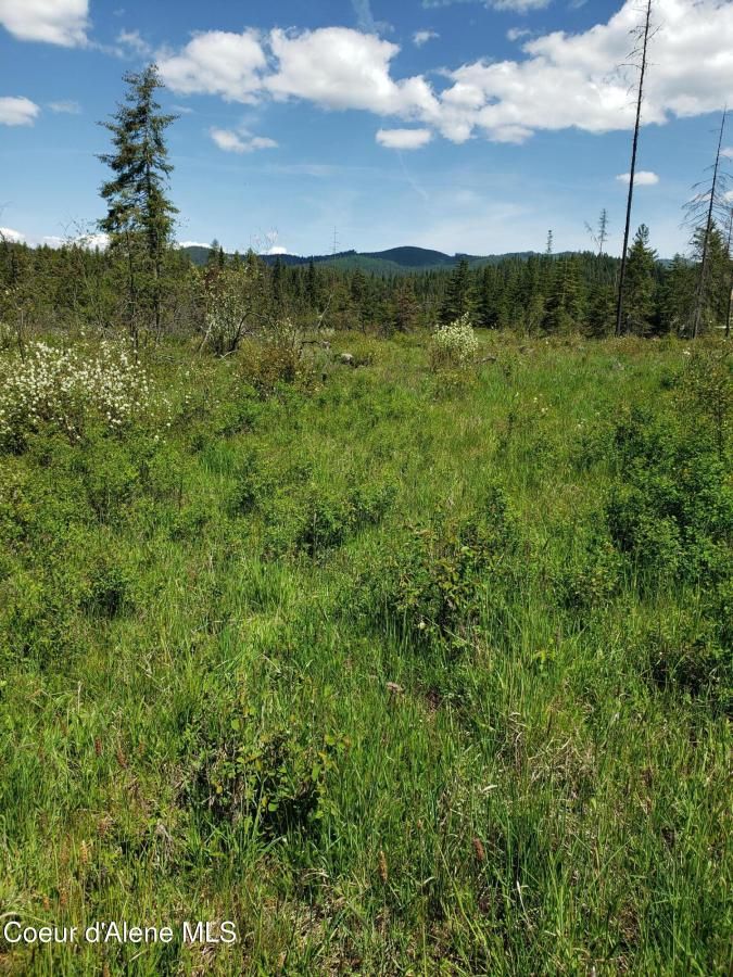 MLS #25-5325 image #0