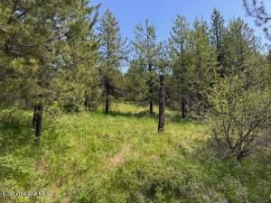 MLS #25-5377 image #0