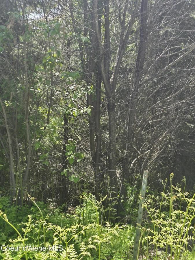 MLS #25-5764 image #0