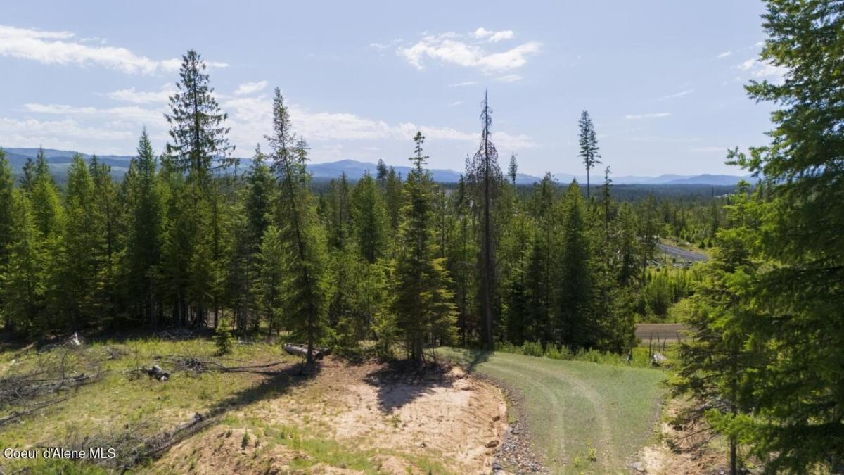 MLS #25-6033 image #0