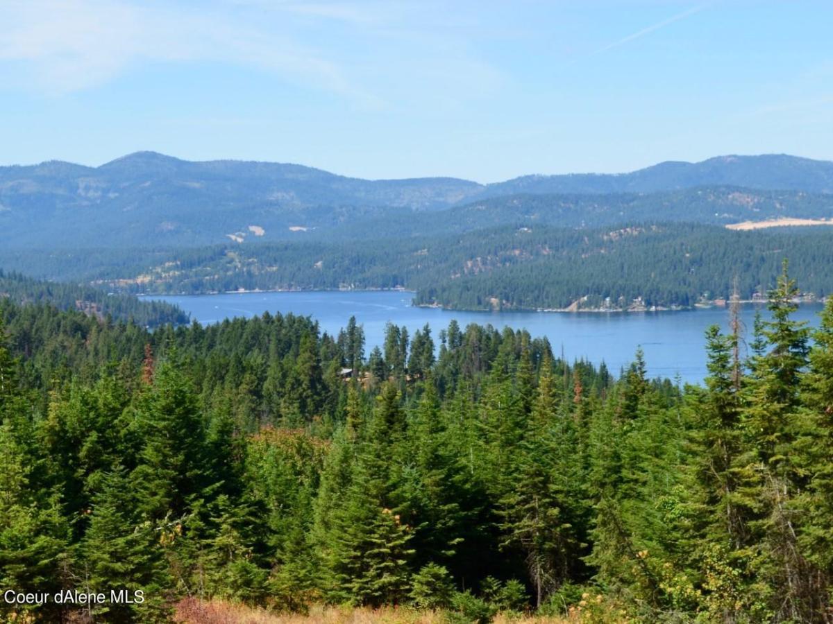 MLS #25-6198 image #0
