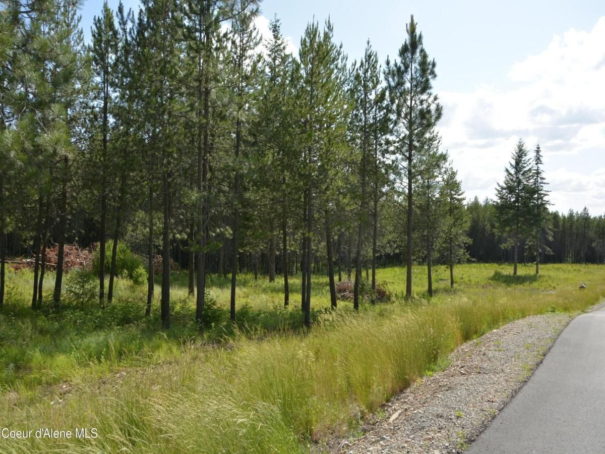MLS #25-6341 image #0