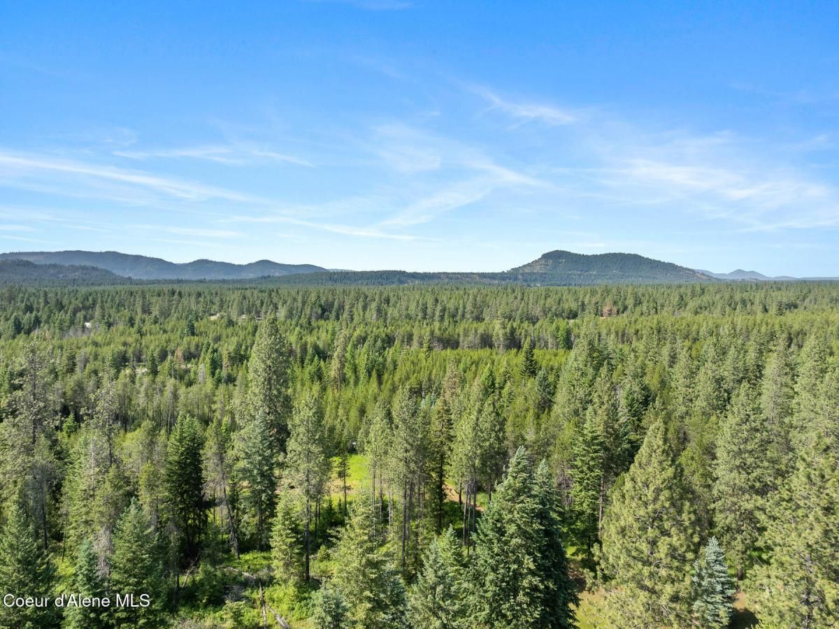 MLS #25-6349 image #0