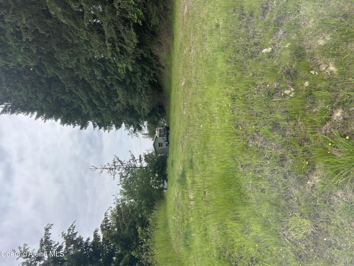 MLS #25-6377 image #0