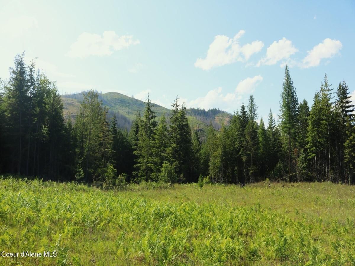 MLS #25-6681 image #0