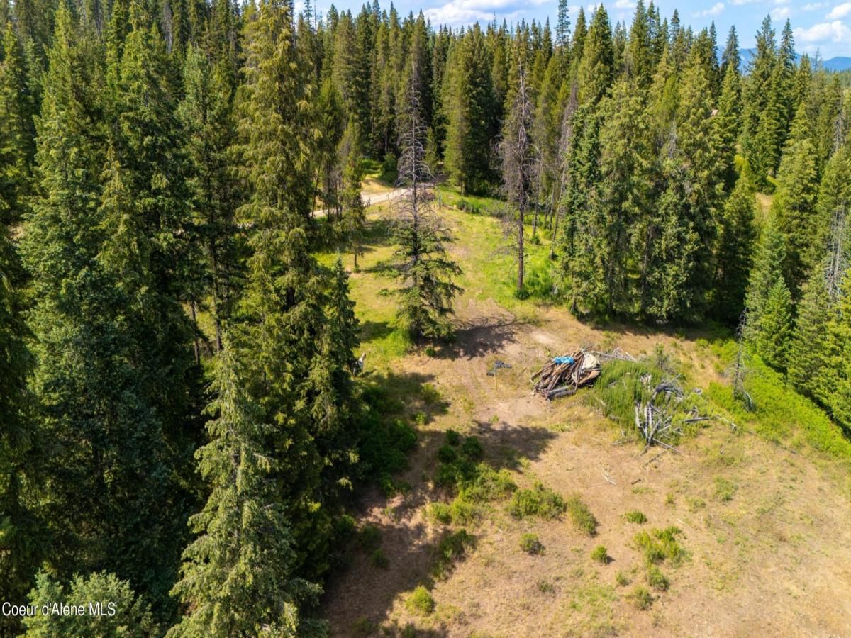 MLS #25-6692 image #0