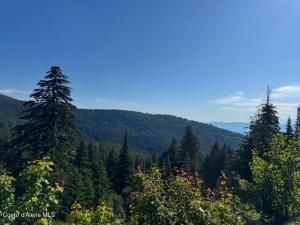 MLS #25-6881 image #0