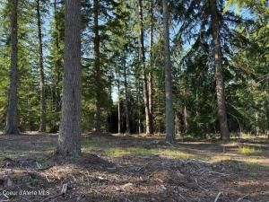 MLS #25-7812 image #0