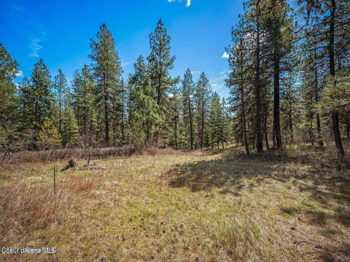 MLS #25-7957 image #0
