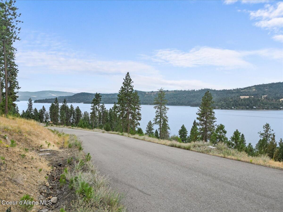MLS #25-8042 image #0