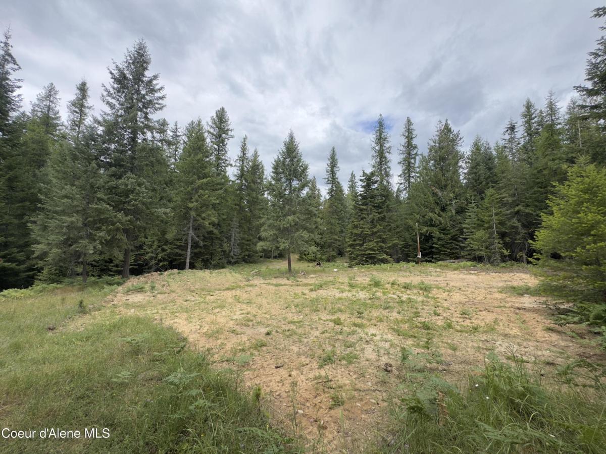 MLS #25-8369 image #0