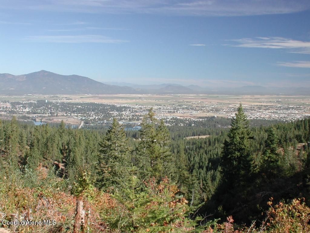 MLS #25-8952 image #0