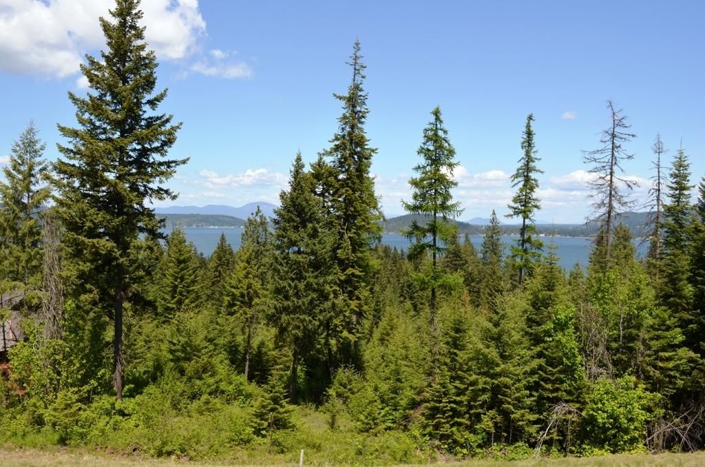 MLS #25-8976 image #0