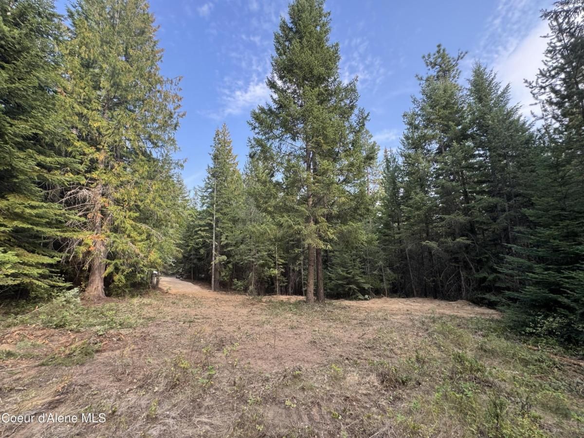 MLS #25-9003 image #0