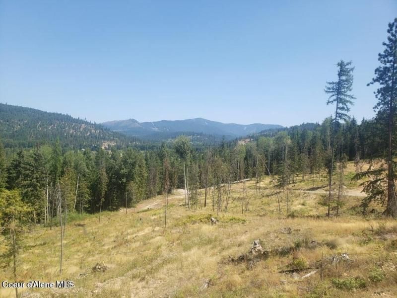 MLS #25-9181 image #0