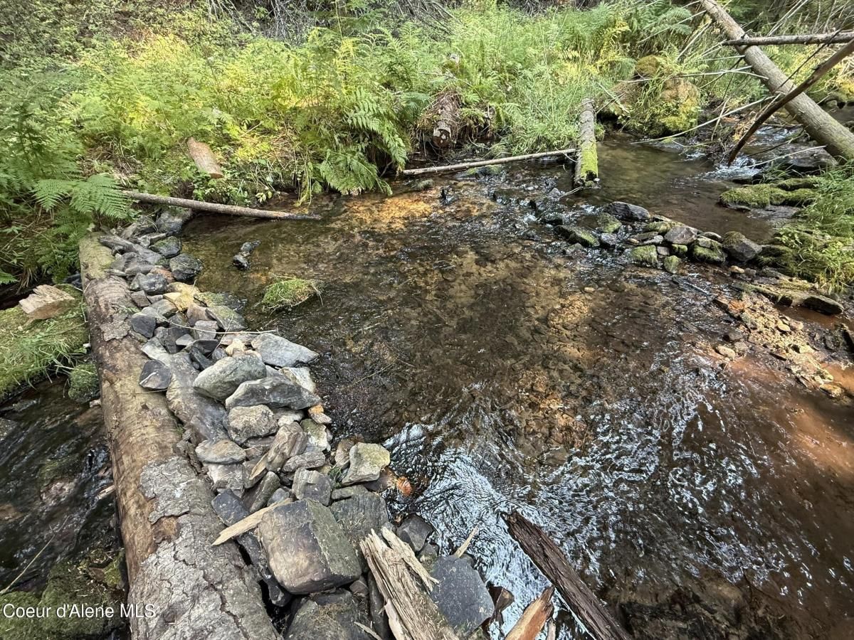 MLS #25-9305 image #0