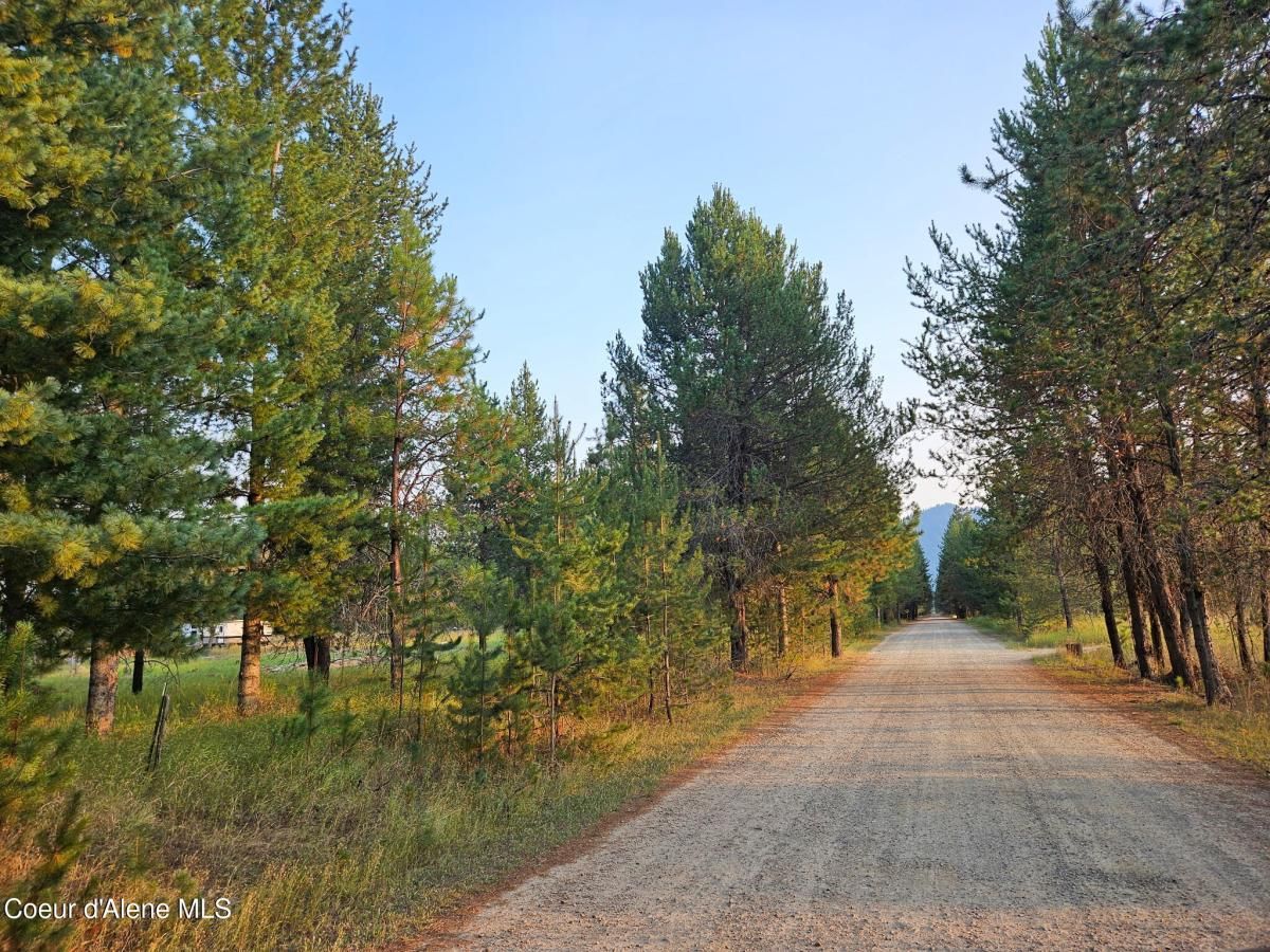 MLS #25-9566 image #0