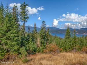 MLS #25-9679 image #0