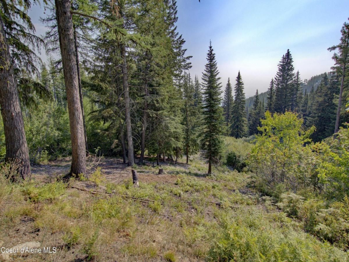 MLS #25-9702 image #0