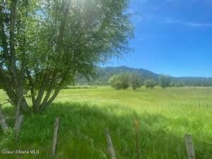 MLS #25-9843 image #0