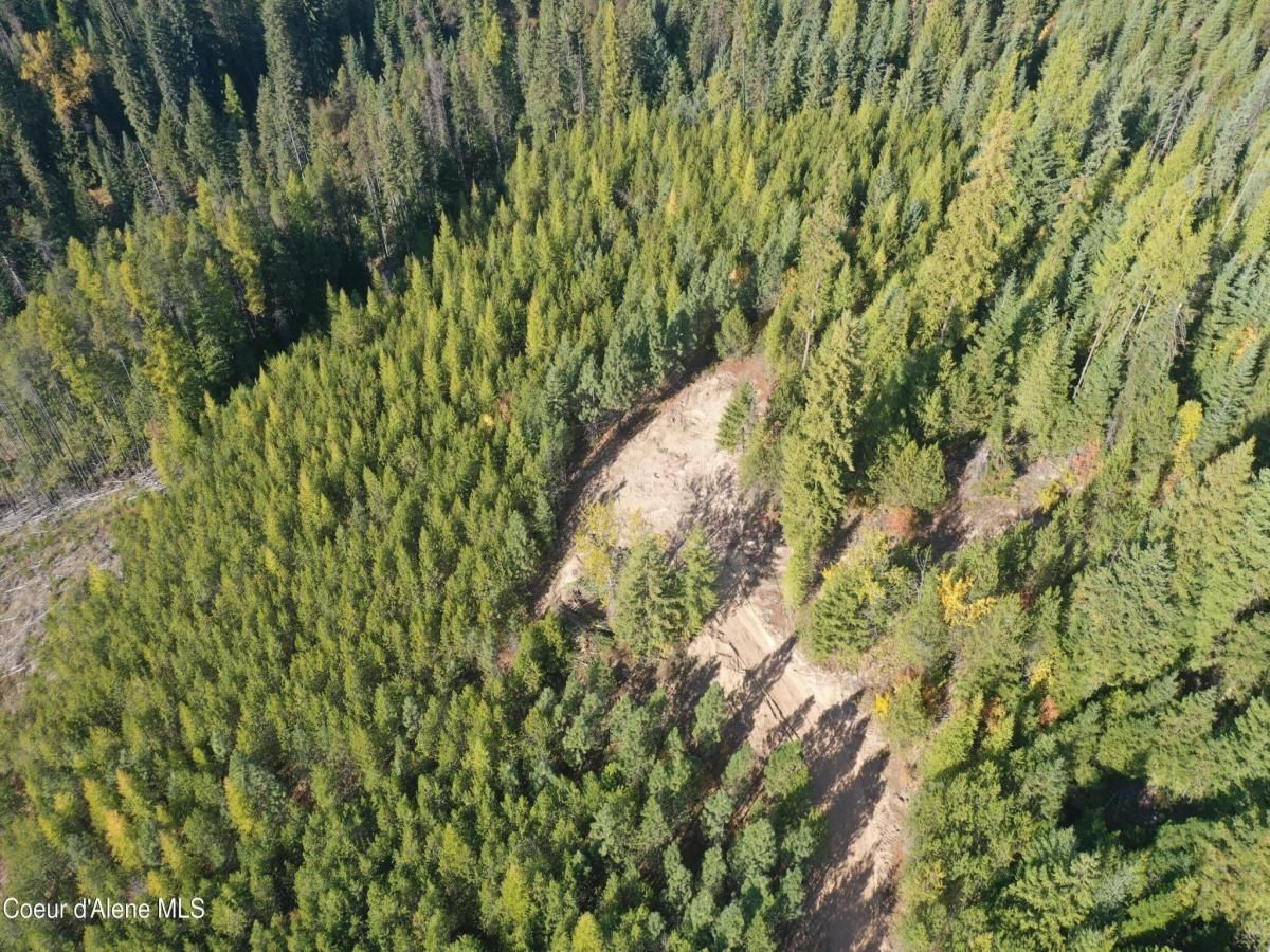 MLS #25-9869 image #0