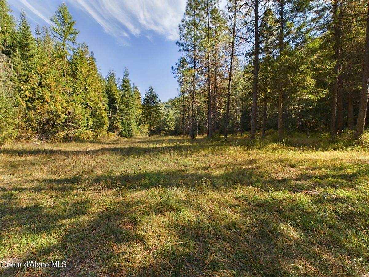 MLS #25-9973 image #0
