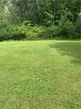 MLS #6214924 image #0