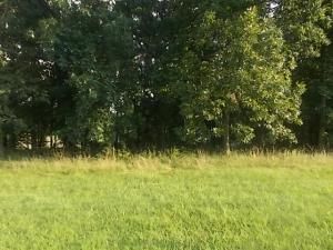 MLS #6222394 image #0