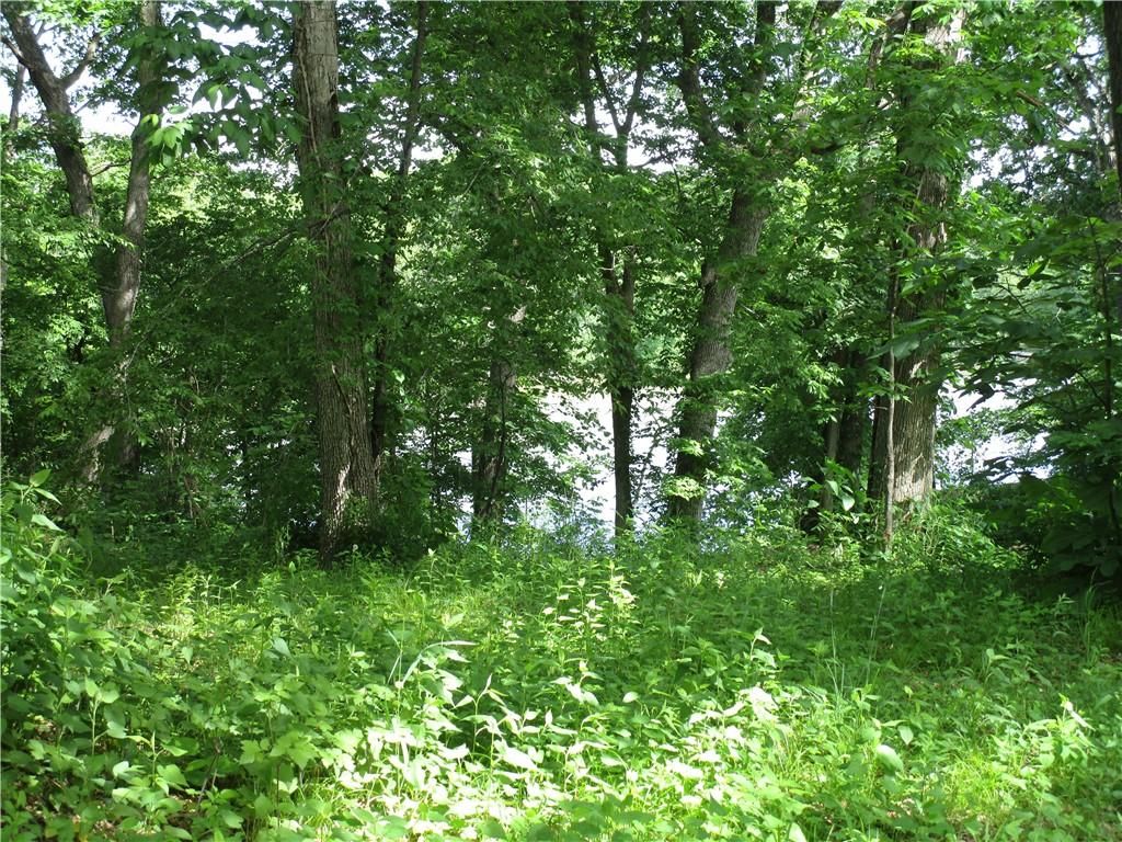 MLS #6240064 image #0