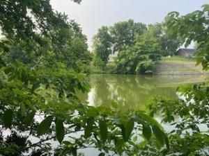 MLS #6252264 image #0