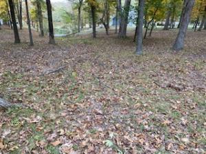 MLS #6255820 image #0