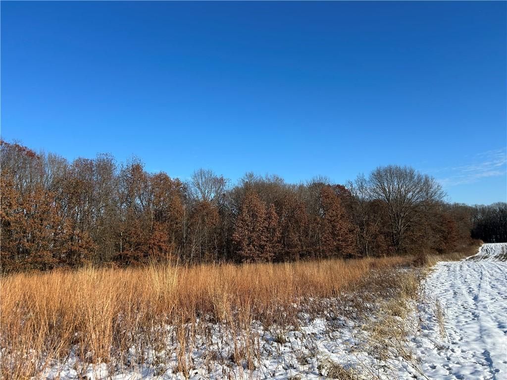 MLS #6256464 image #0