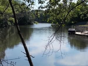 MLS #6256569 image #0