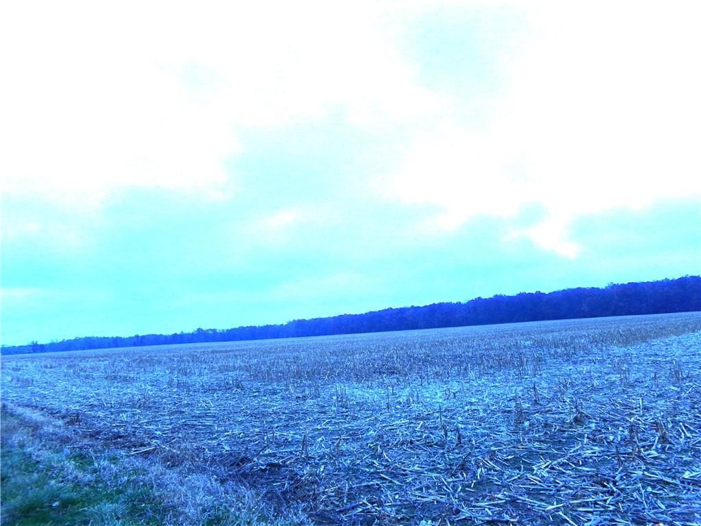 MLS #6256809 image #0