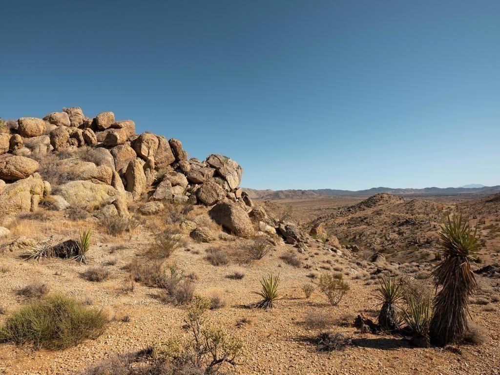 MLS #219117470DA image #0