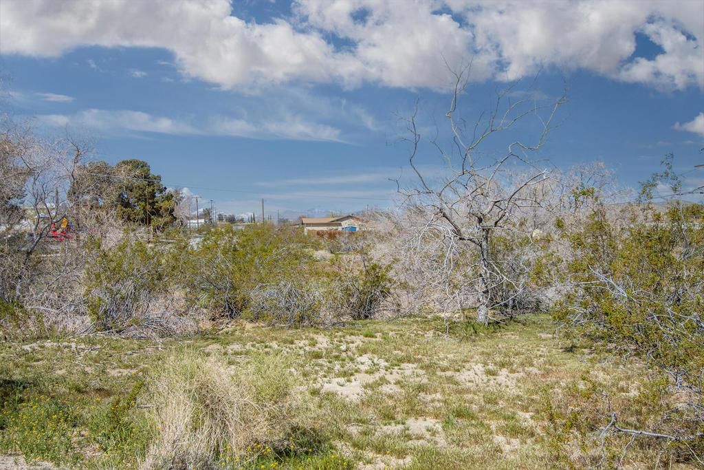 MLS #219125084PS image #0