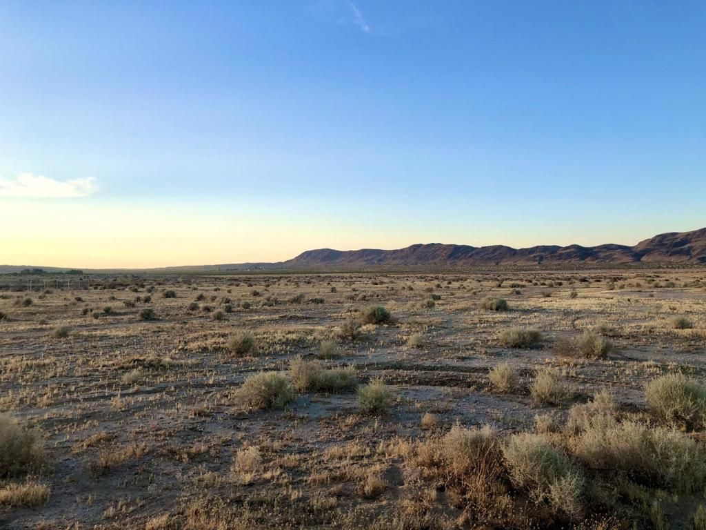 MLS #219126039DA image #0