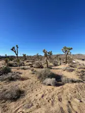broker reciprocity